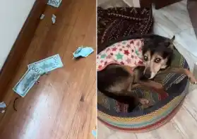 El video se volvió viral