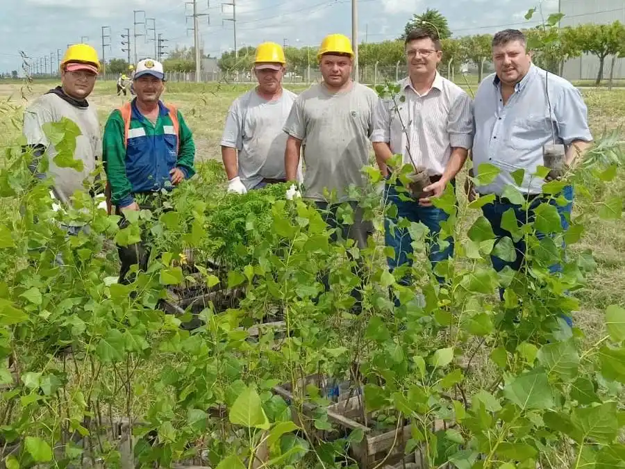 Parque Industrial árboles