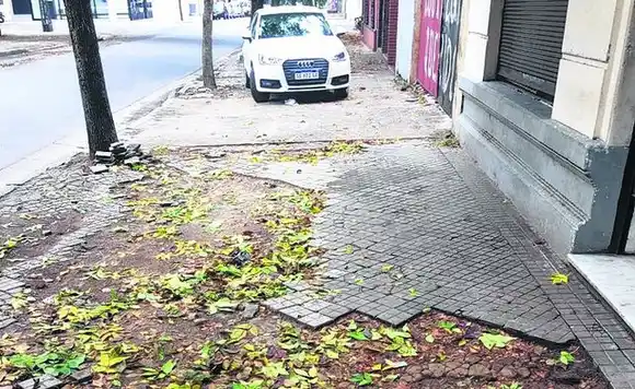 La concejala Alicia Pino explicó de qué se trata la Mesa de gestión que apunta a mejorar la reparación de veredas