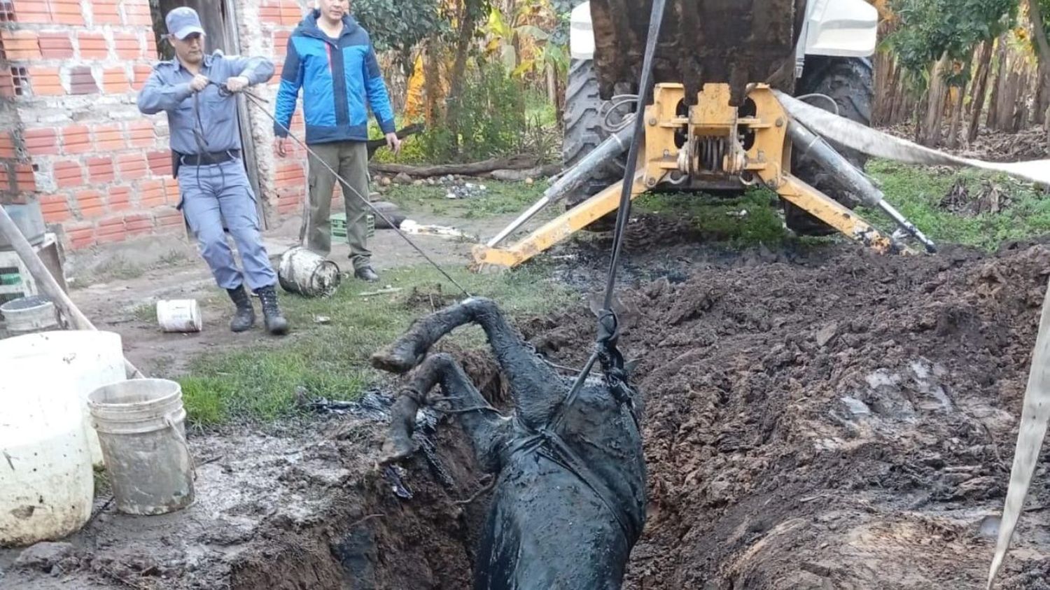 Gran despliegue para el rescate de un caballo en Colonia La Primavera
