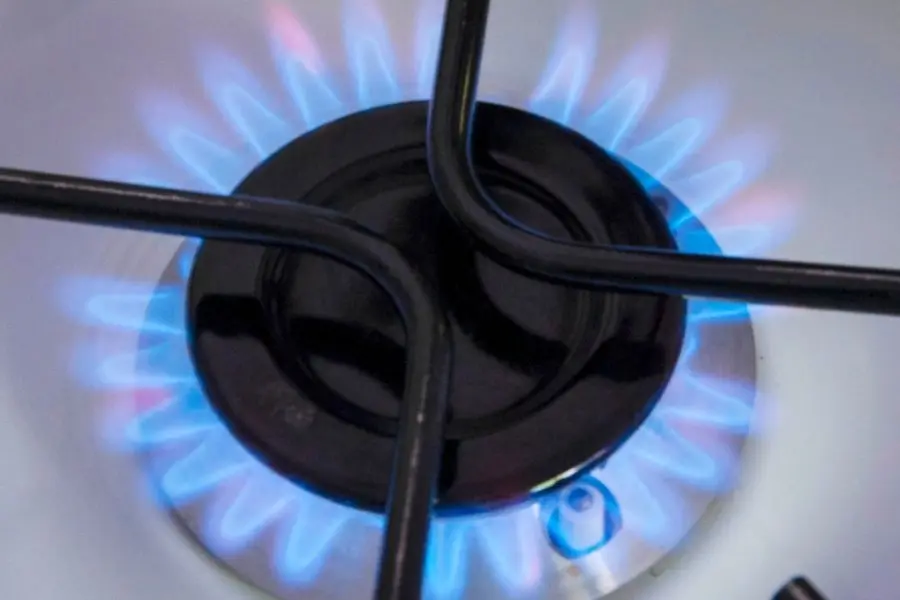 El Gobierno decidió frenar la suba de tarifas de gas prevista para mayo