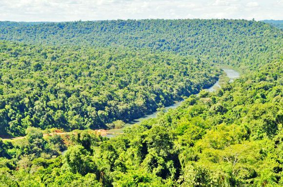 Vida Silvestre y ArgenINTA inician consultoría para la restauración de paisajes forestales de Argentina