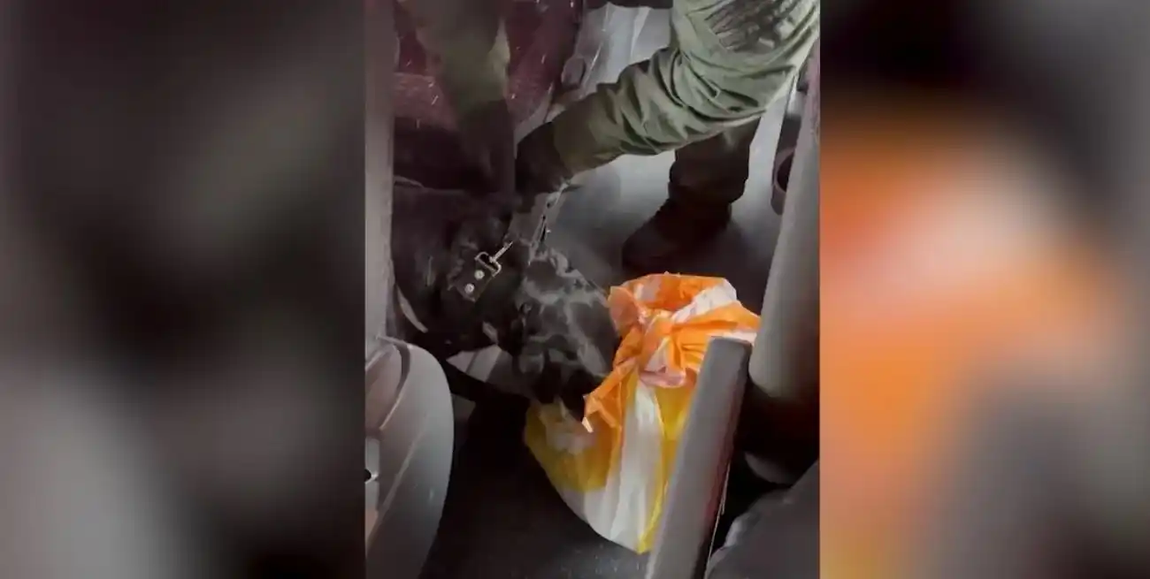 El momento en el que se identifica parte del cargamento.