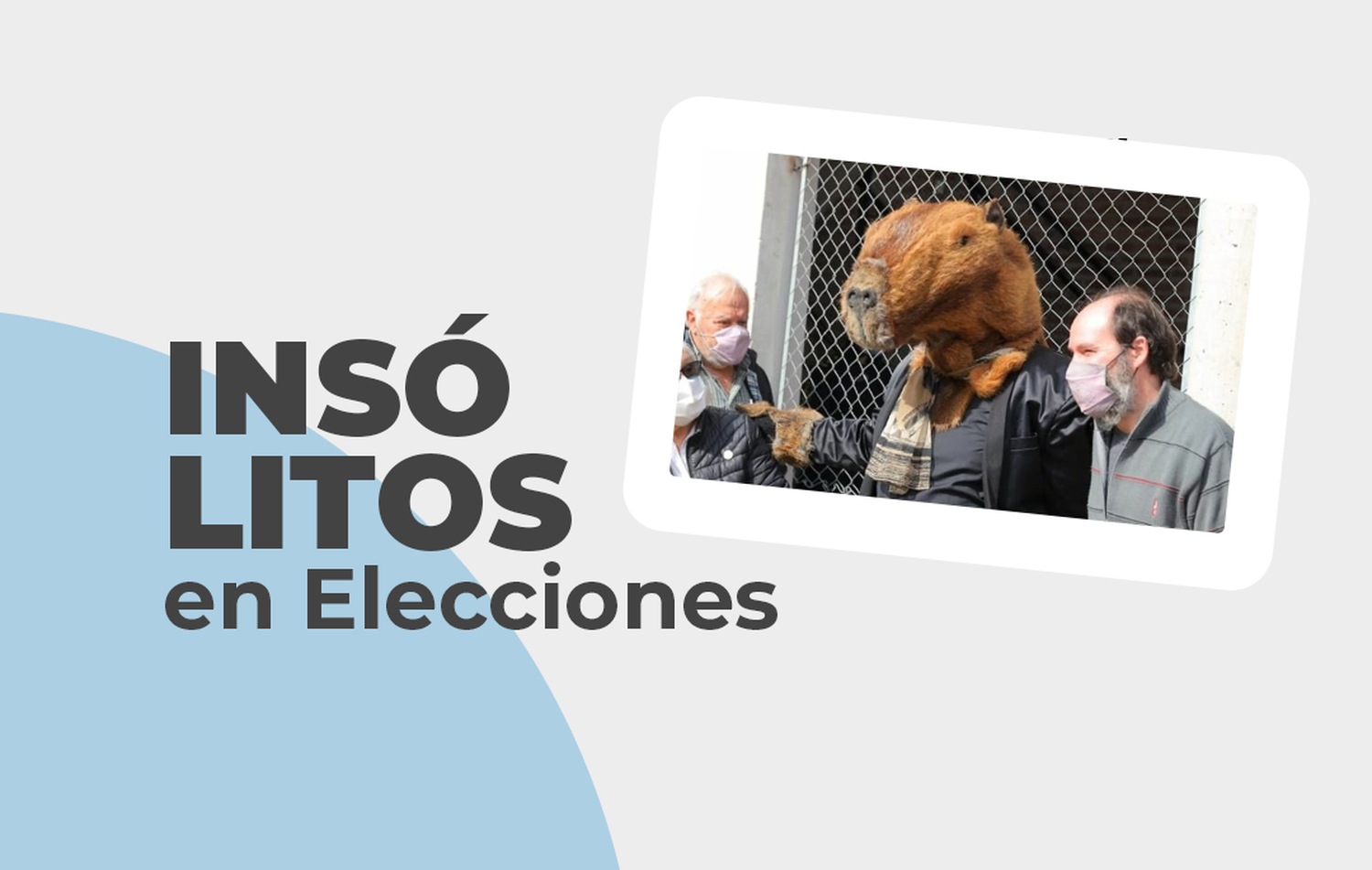 Los 10 hechos más insólitos durante las Elecciones PASO 2021 en la Provincia de Buenos Aires