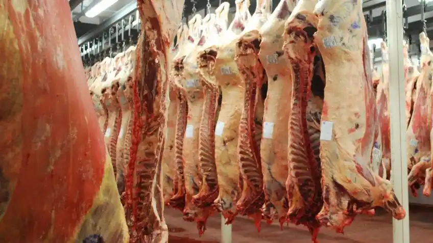 Robaron un camión cargado con 88 medias reses de carne en la ruta 205 de Lobos