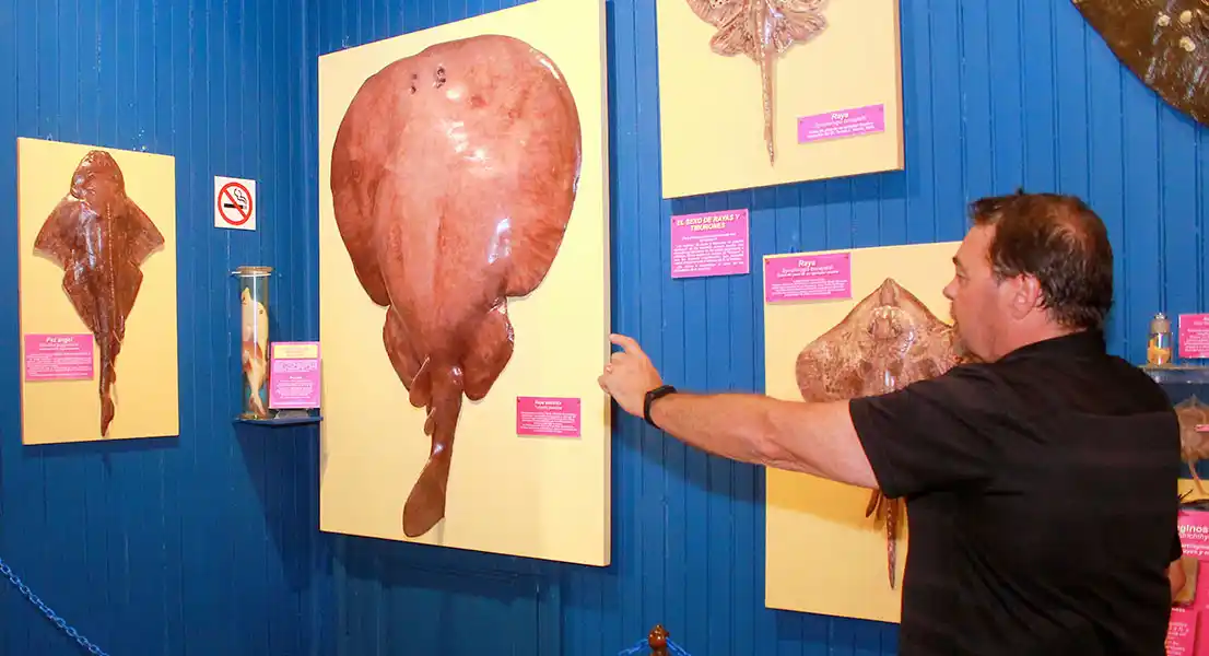 Restauran parte de la exposición de la Estación hidrobiológica