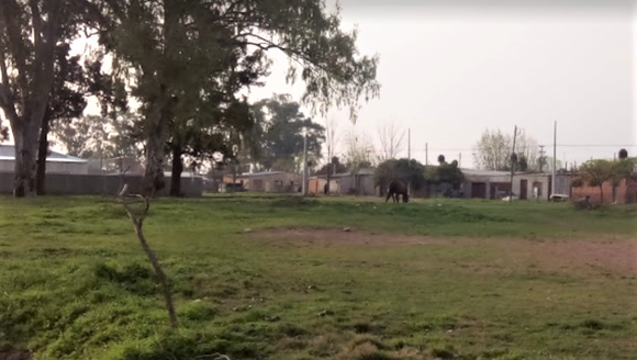 Habló la mujer pateada por un caballo en la escuela 47: “Si agarraba a un niño, lo mataba”