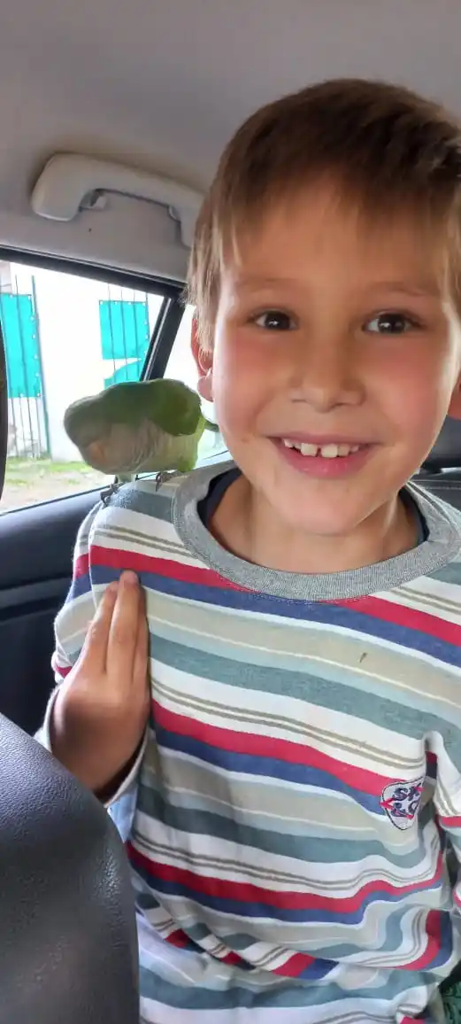 Un proyecto inédito en el país ingresó en la Cámara de Diputados bonaerense, la “Ley Benjamín”