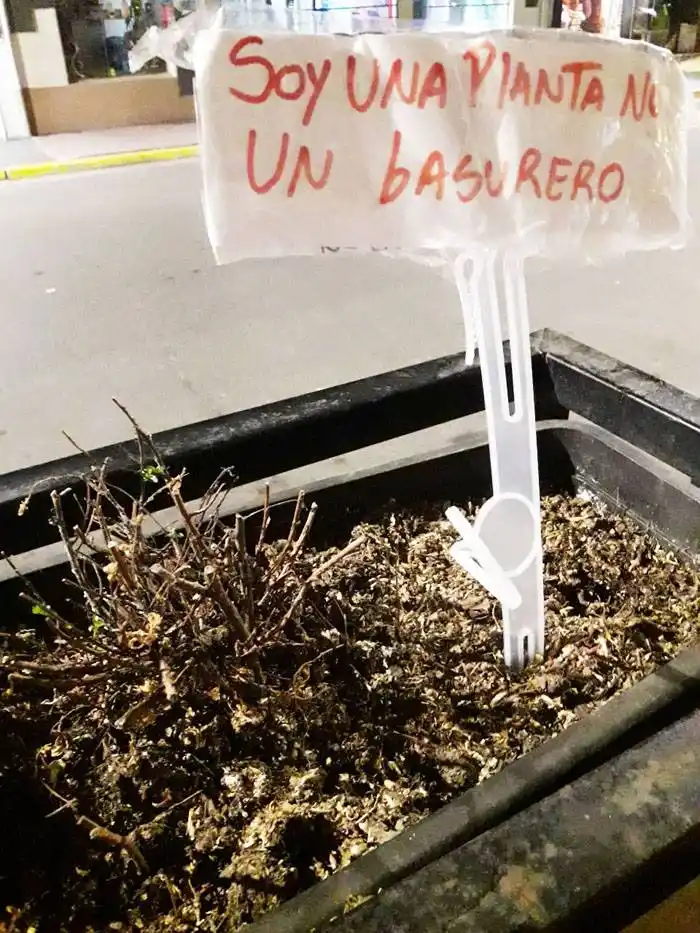 Lo que se ve en la Ciudad