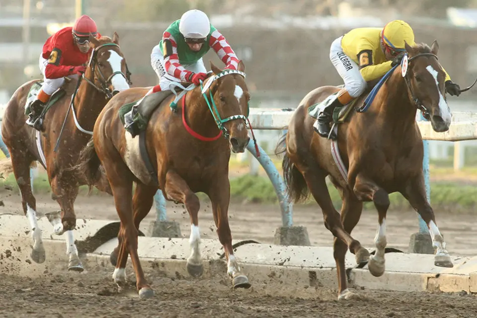 Quieren crear centro de formación profesional para jockeys y cuidadores
