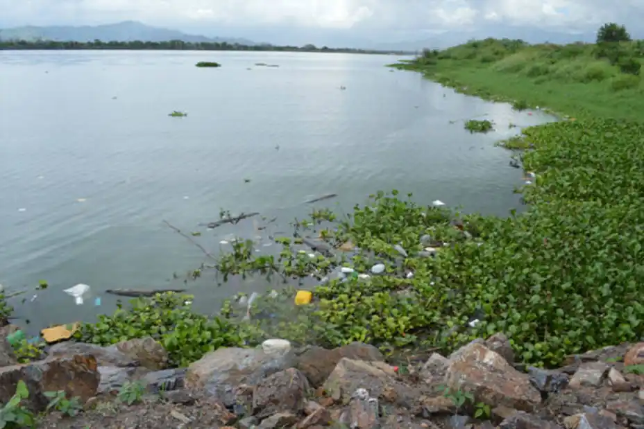 URGENTE: AN alerta sobre la contaminación del Lago de Valencia
