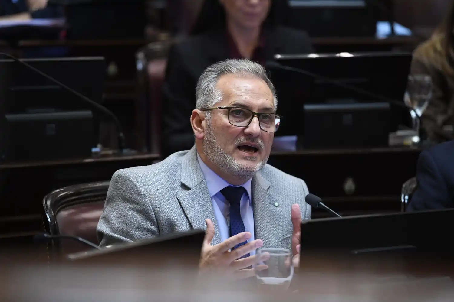 Marcelo Lewandowski, senador nacional.