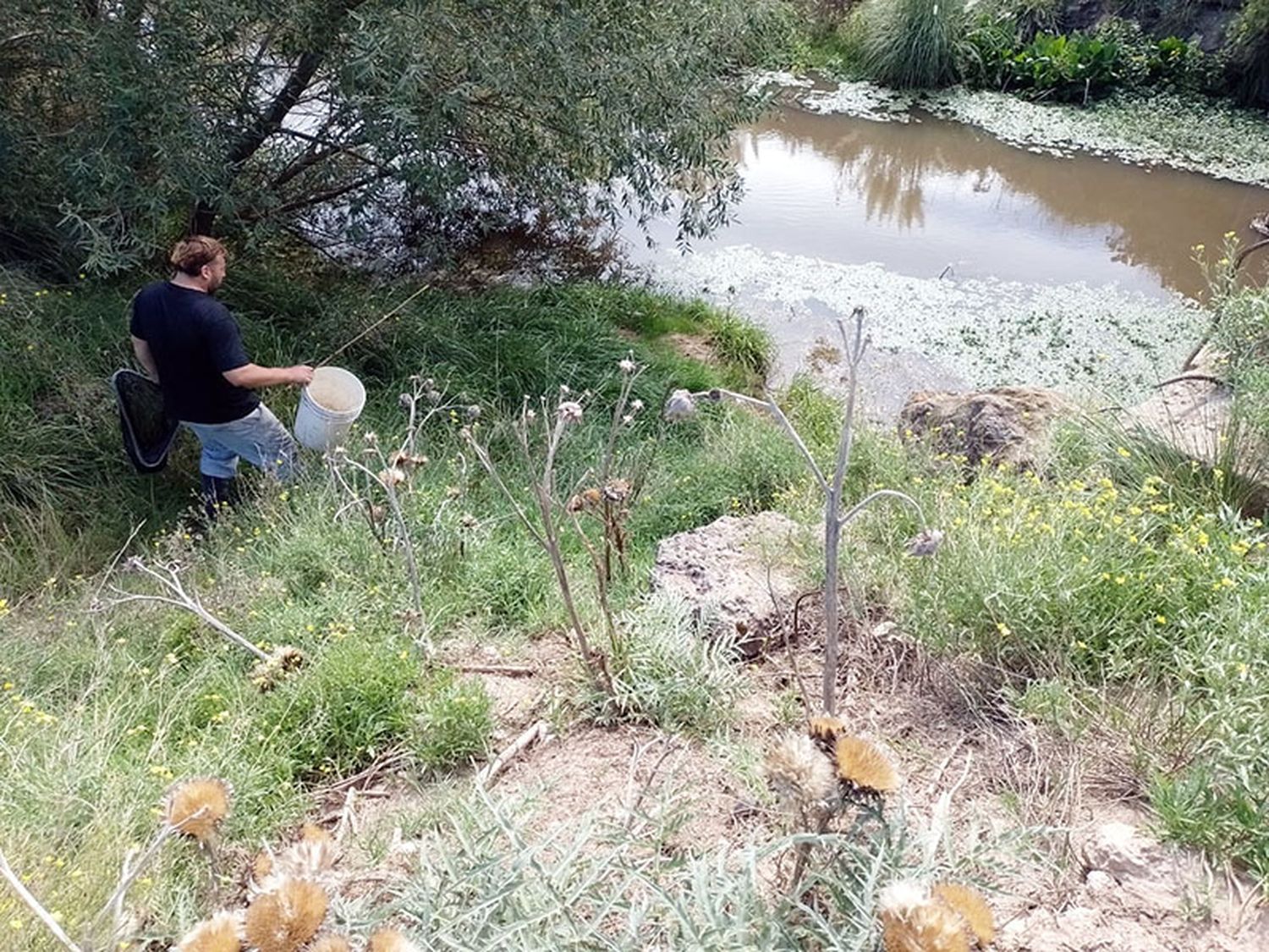 Técnicos de Piscicultura son parte de una campaña nacional de muestreo de peces