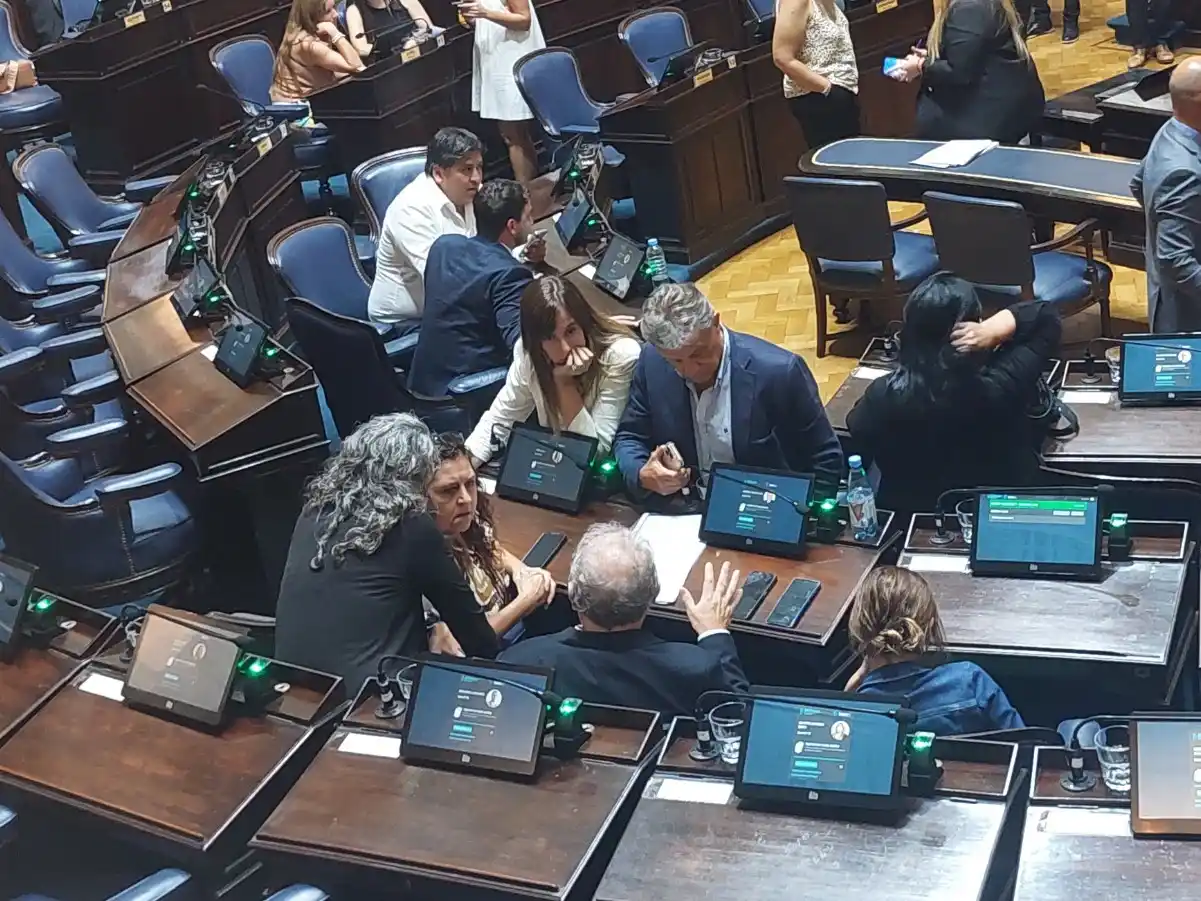 Susana González, Gustavo Pulti y otros diputados del bloque oficialista.