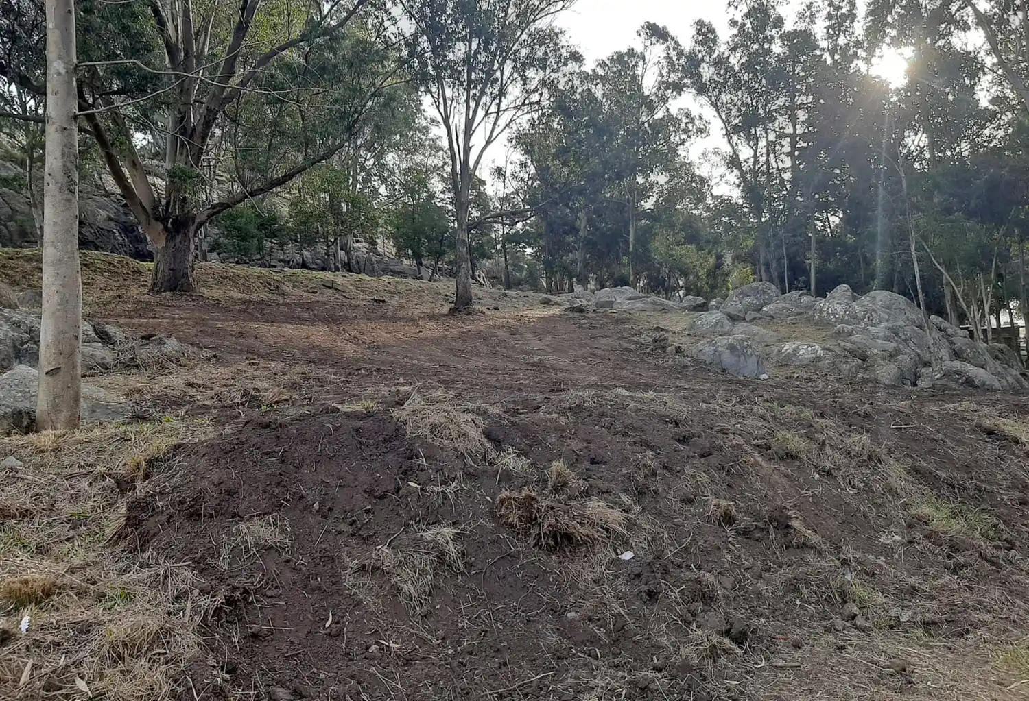 Las 5 cosas que tenés que saber hoy