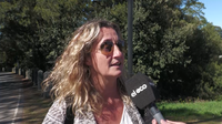 Dengue: "Estamos frente a un inicio de brote en la ciudad"