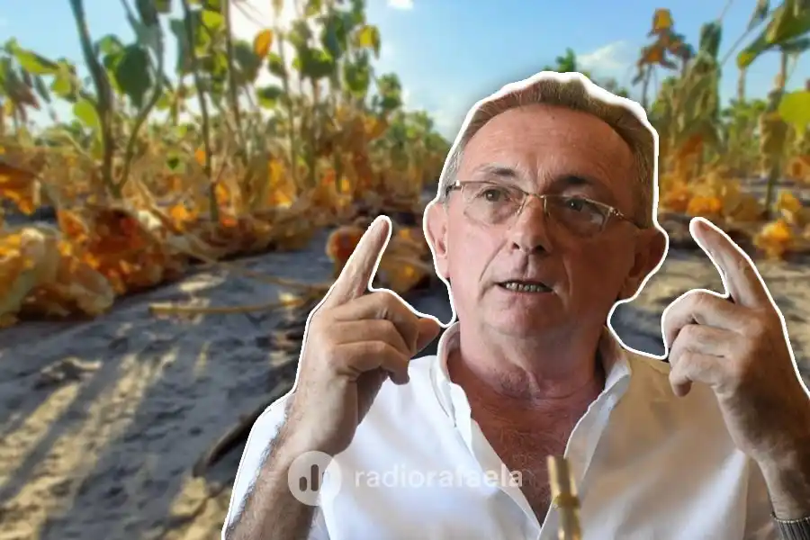 Alarma en Santa Fe por la gran sequía que azota la provincia: “La situación es muy, pero muy compleja”