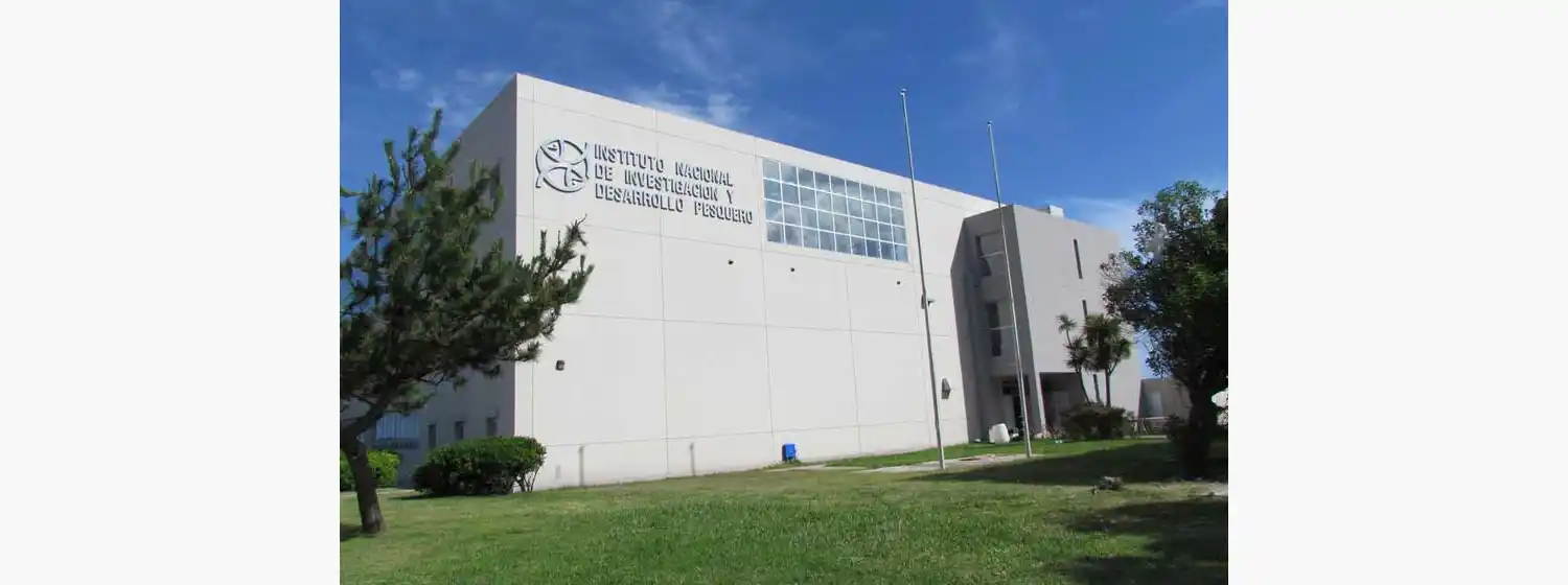 Exploración del Mar Argentino para buscar hidrocarburos: "Siempre hay un impacto"