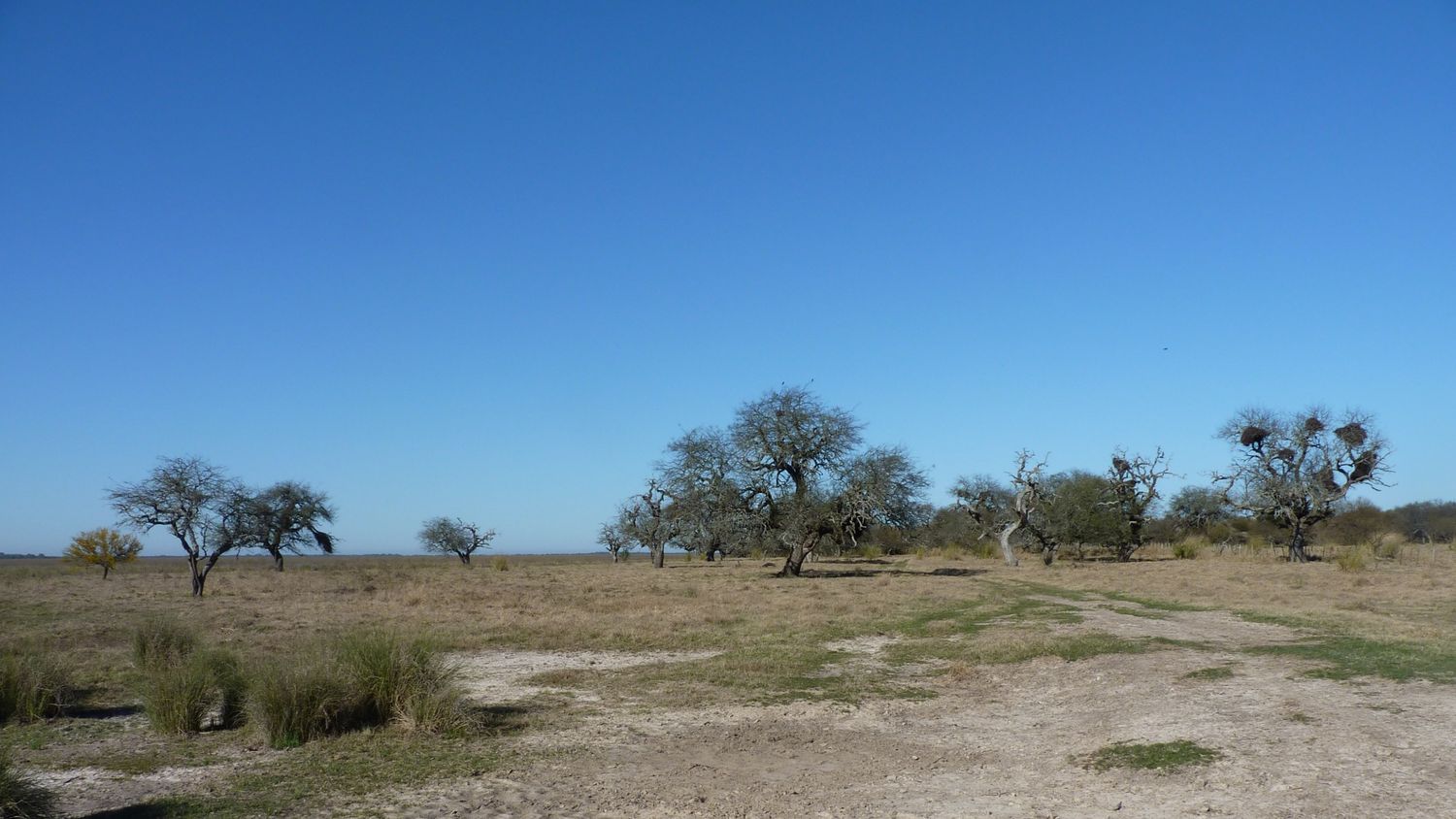 La provincia declaró a “La Elena” como reserva de uso múltiple