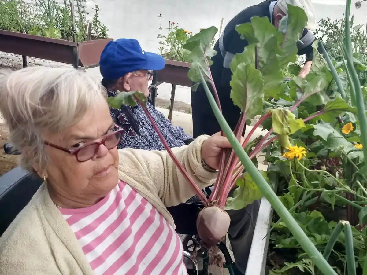 La huerta, una terapia que conecta a los abuelos de Arroyito con sus raíces               