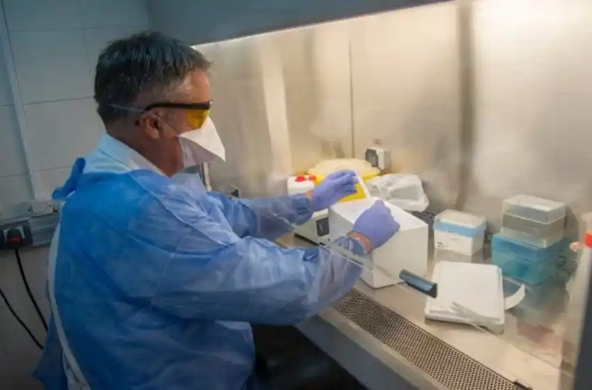 Coronavirus: autorizaron la realización de ensayos clínicos en Argentina de una vacuna inactivada en China