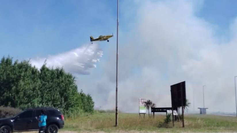 Mar Azul: Controlaron el incendio forestal que afectó a ambos lados de la ruta 11