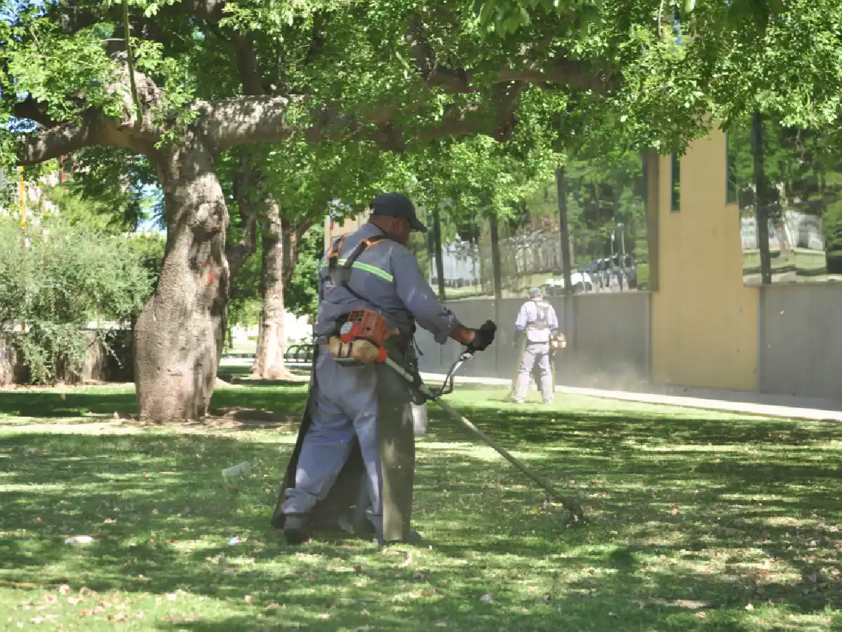 El municipio intensifica tareas de mantenimiento de espacios verdes 