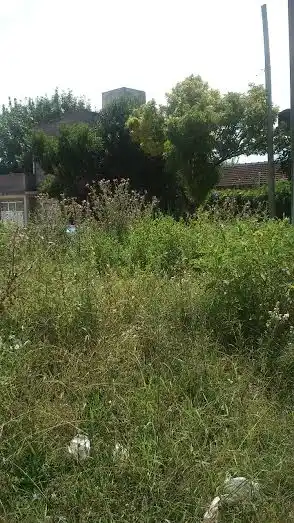 Vecinos denuncian por la falta de mantenimiento de "terrenos abandonados"