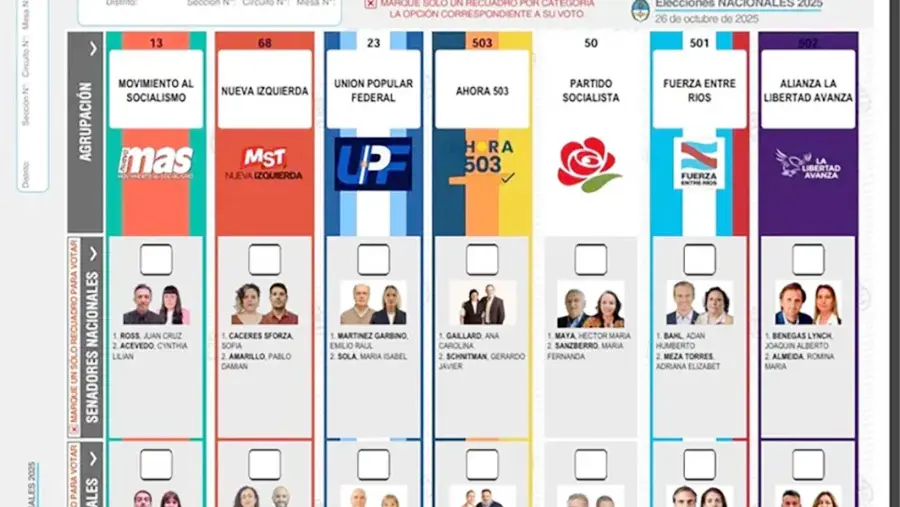 Qué se elige y cómo está el cuadro electoral en cada uno de los 24 distritos