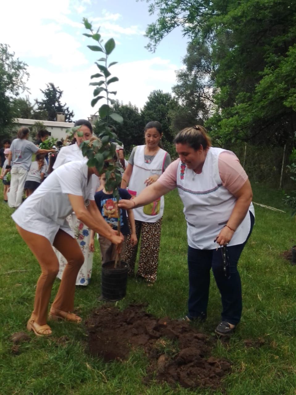 La Escuela “Rudecindo Alvarado” ganó nuevamente el concurso “Eco-botella”