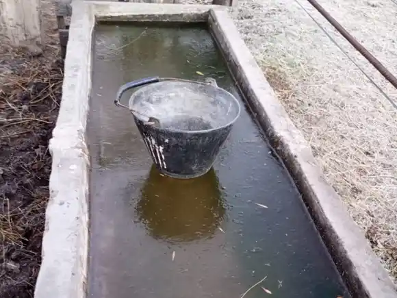 Ola polar histórica: emiten nuevamente un alerta por frío extremo