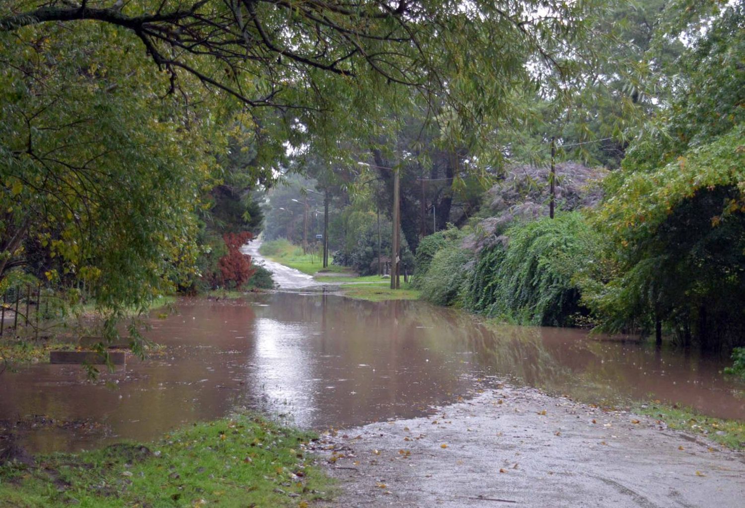 Abundante caída de agua en la ciudad, con algunas calles anegadas y desagües tapados