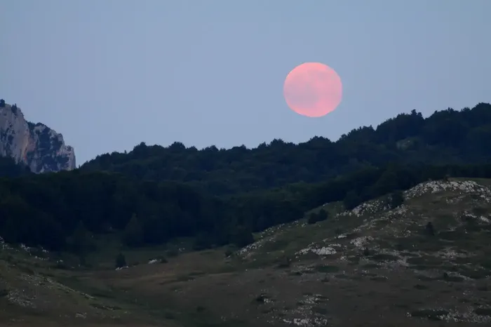 Luna en Rosa