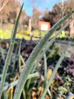 Tandil, en alerta por frío extremo