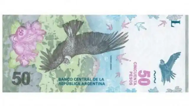 El cóndor: Así es el nuevo billete de $ 50 que comenzó a circular