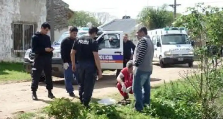 Hasta el año que viene no se podrán realizar análisis en el feto encontrado en la vía pública