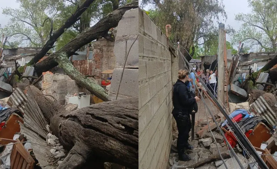 Un árbol se desplomó sobre dos casas de Villa Banana y provocó destrozos: hay menores hospitalizados