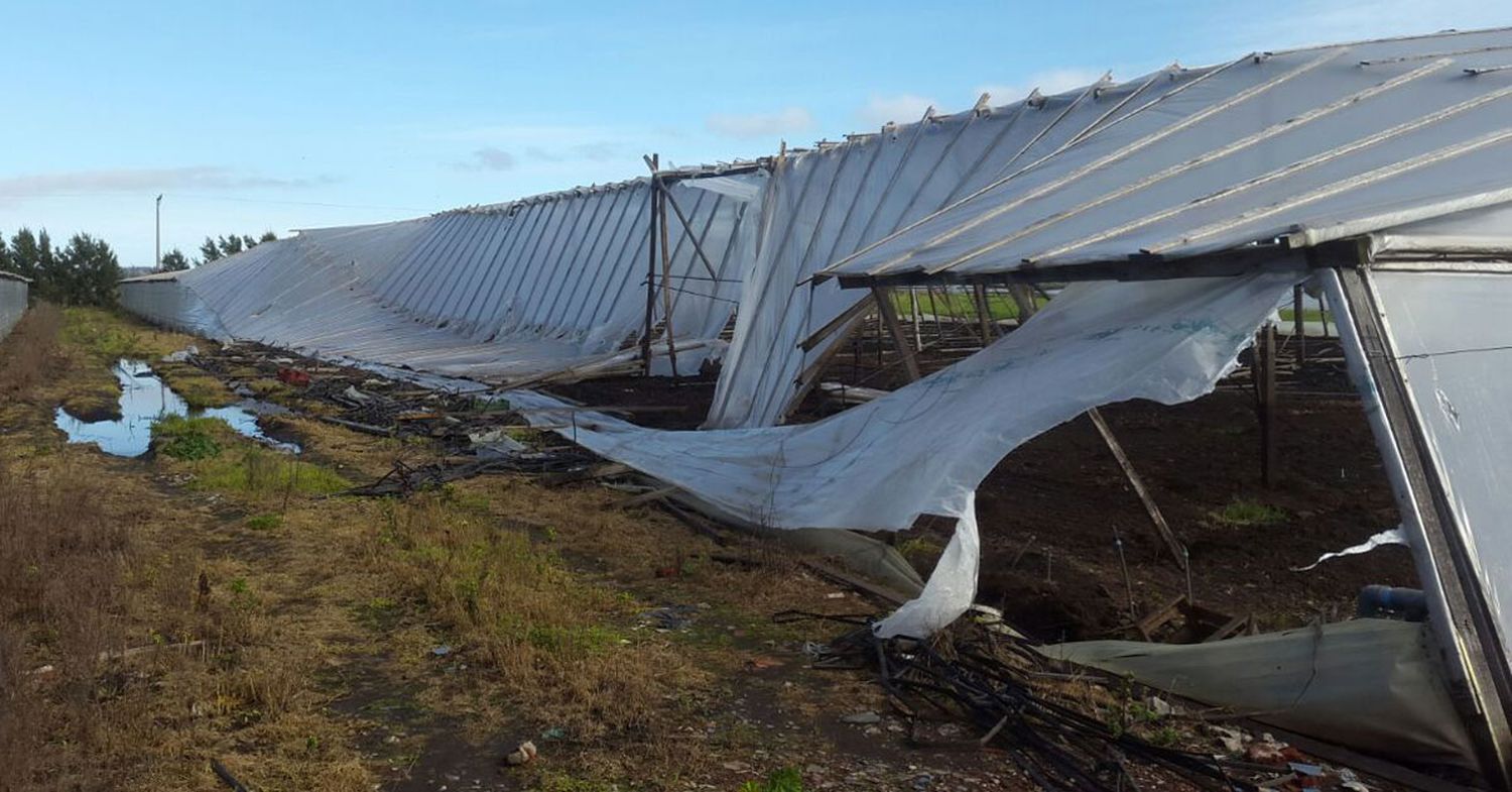 El mal clima no da tregua al cordón frutihortícola