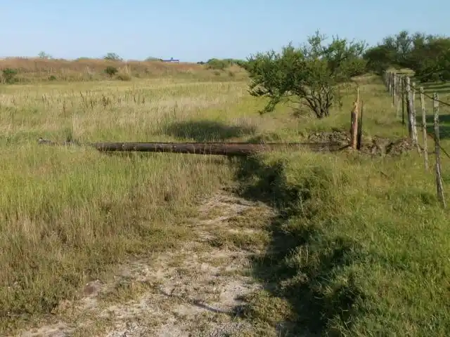 Once postes de luz caídos afectaron el servicio eléctrico