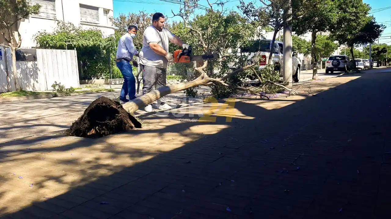 Cuadrillas municipales trabajan en los barrios tras la tormenta