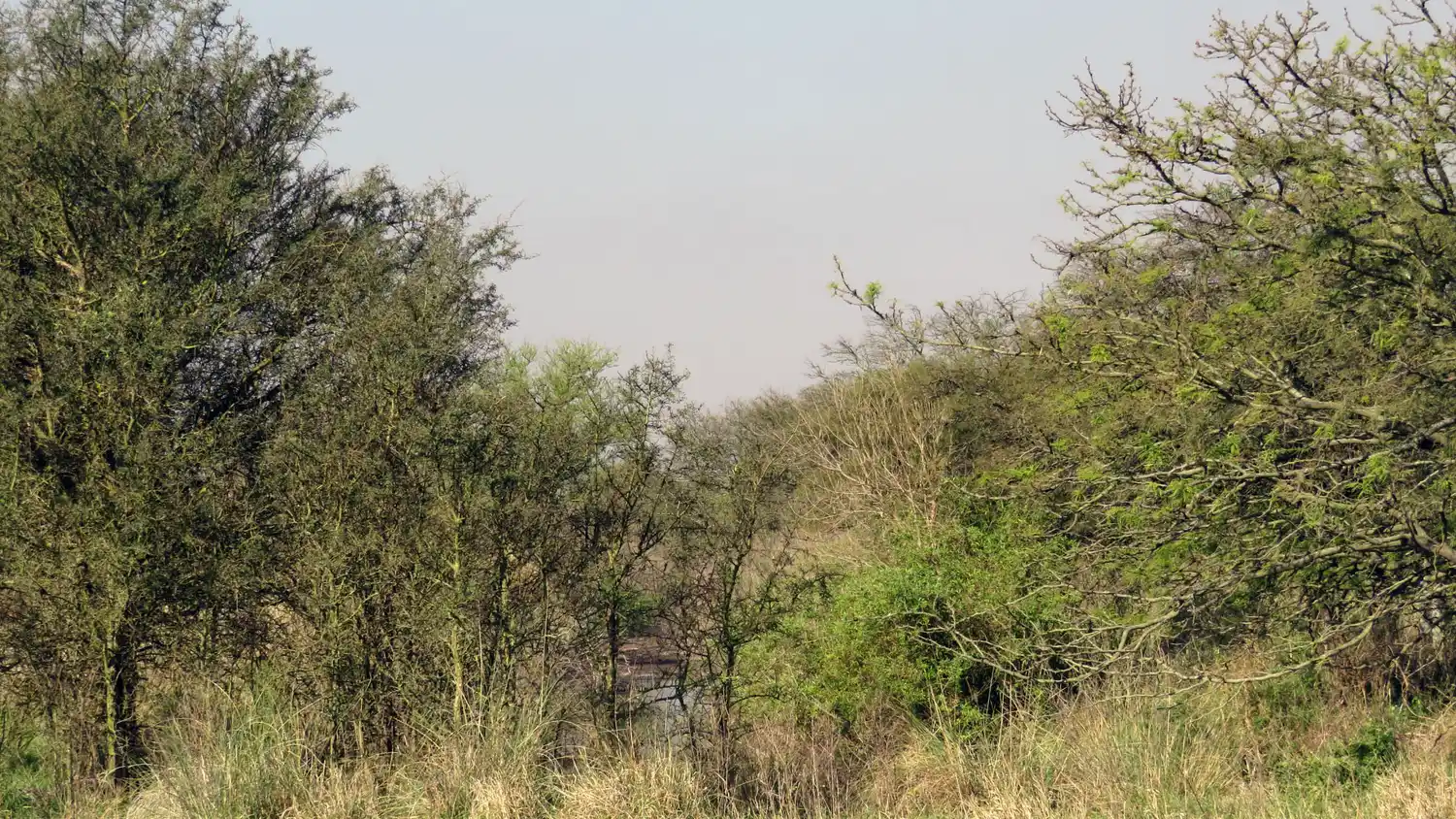 La provincia invirtió más de 9 millones para mitigar el cambio climático