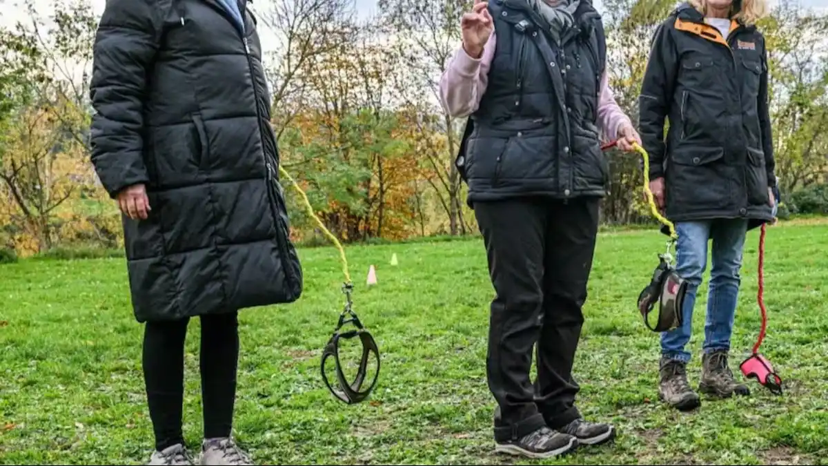 El concepto básico es sencillo: quienes practican Hobby dogging llevan correas, arneses o incluso equipamiento de adiestramiento real, pero no hay un animal físico presente.