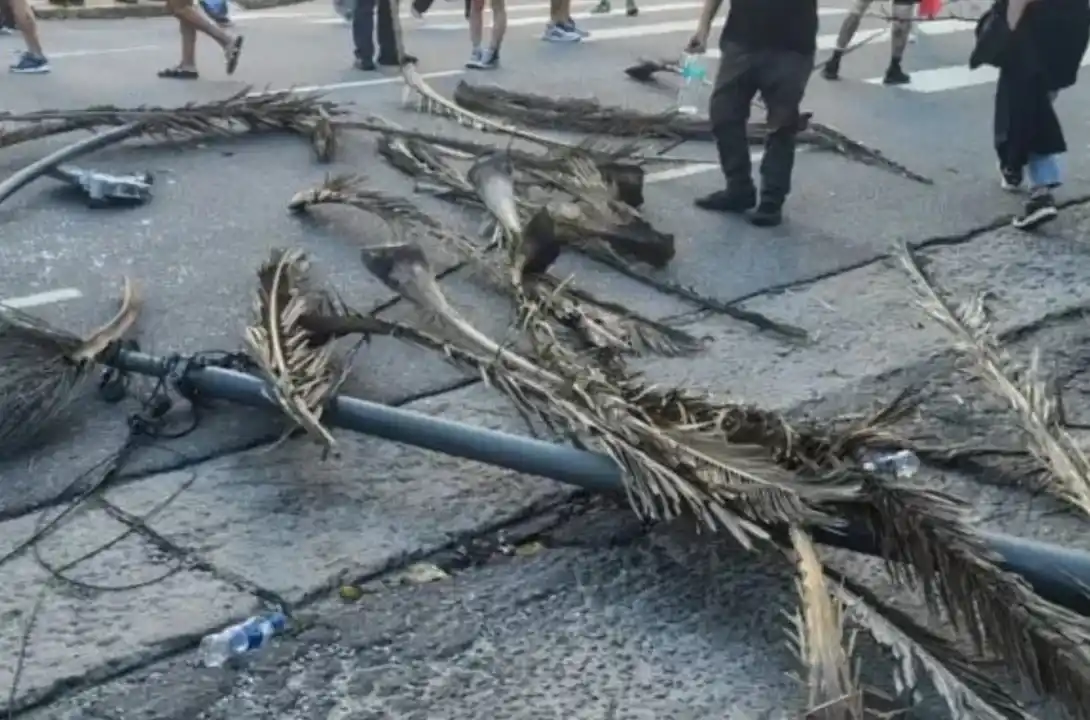 Cayó un poste en Mar del Plata. Foto: Agencia NA / Captuta TV