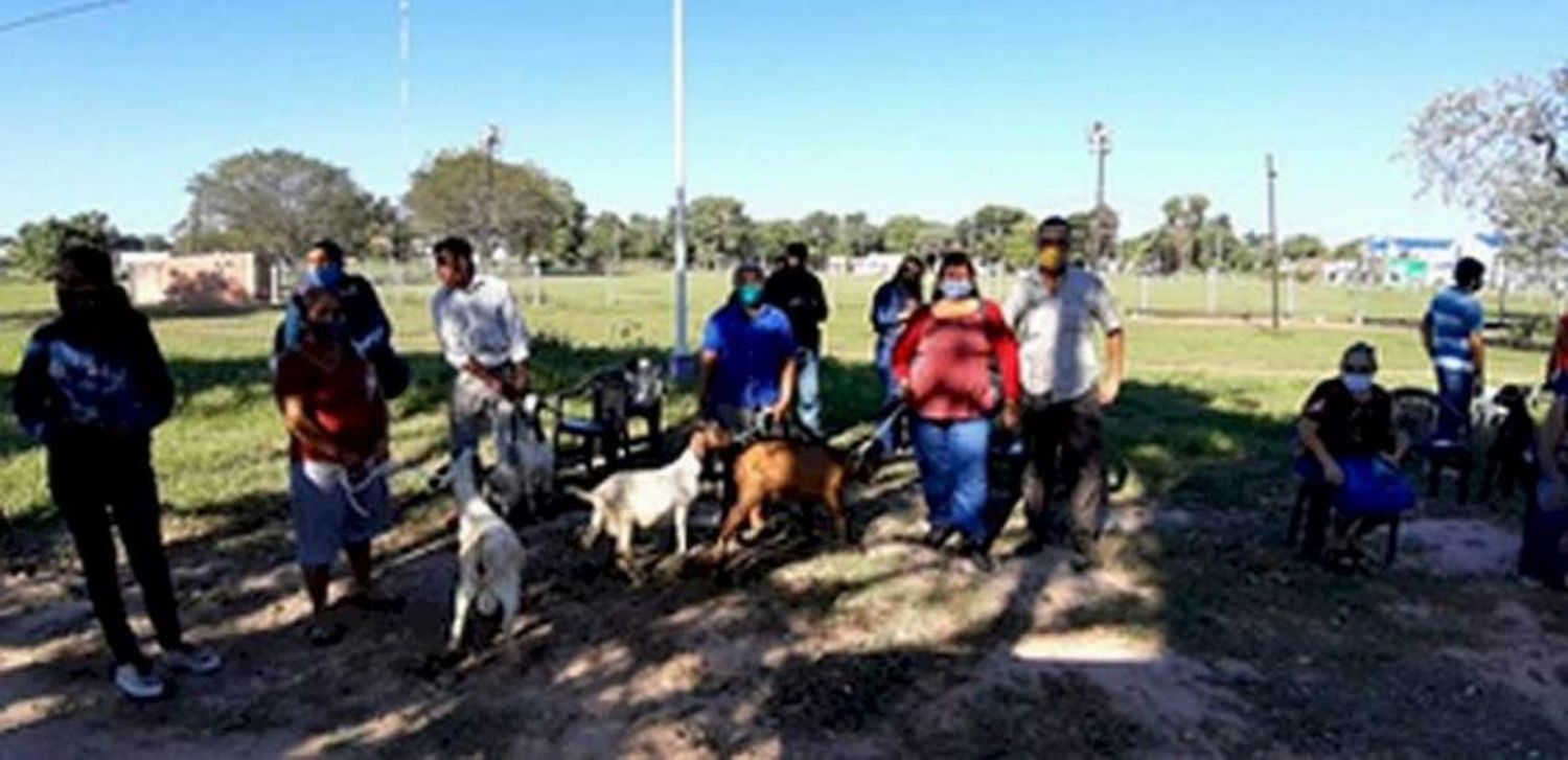 El CEDEVA entregó reproductores ovinos y caprinos a pequeños productores del oeste