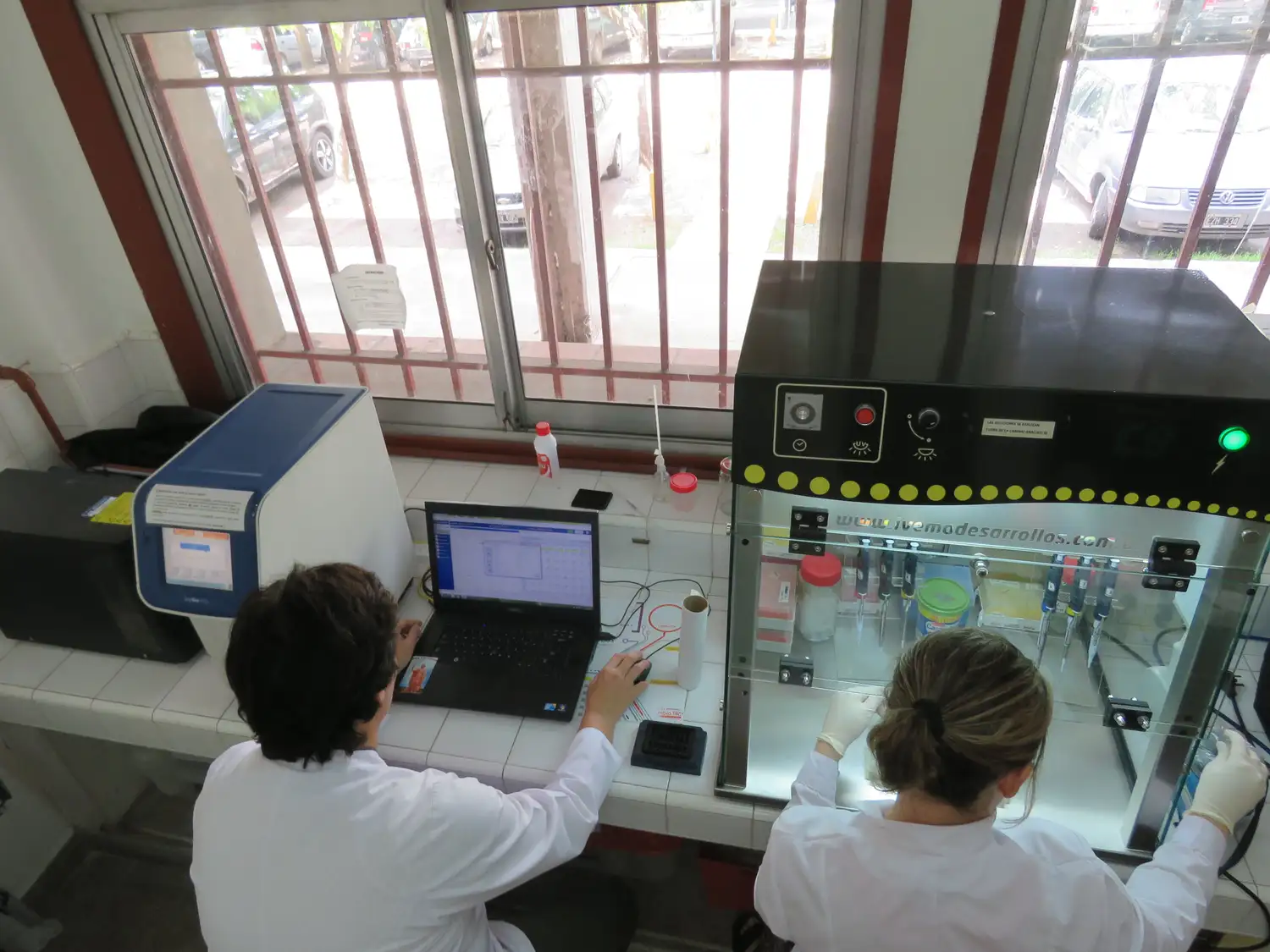 UNL diseñó un test para saber el sexo del bebé en el quinto mes