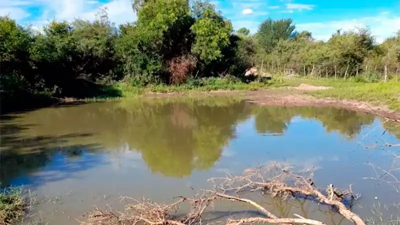Perdió de vista a su hijita de 2 años en el campo y la encontró ahogada