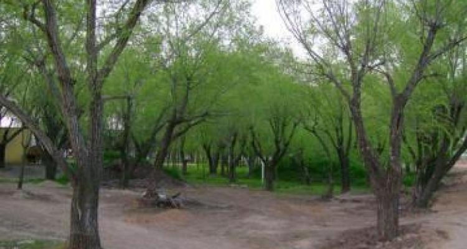 Acondicionan el nuevo Paseo Público