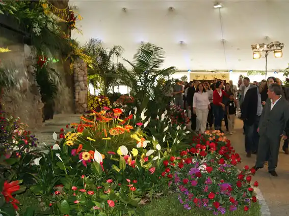Comenzó la 7ma. edición de la Expo Flor en La Plata 