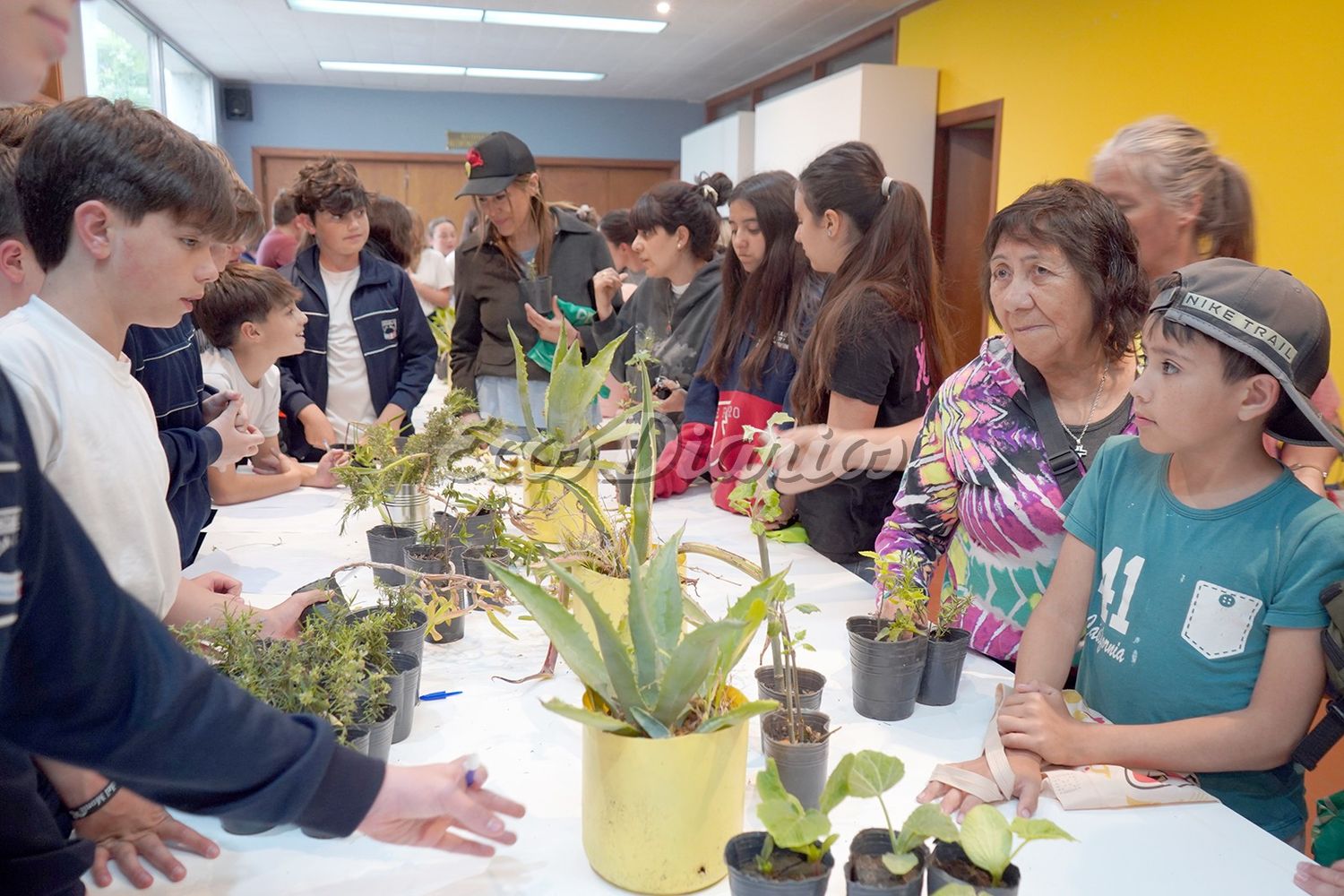 Mucho interés de la comunidad por la suelta de plantines