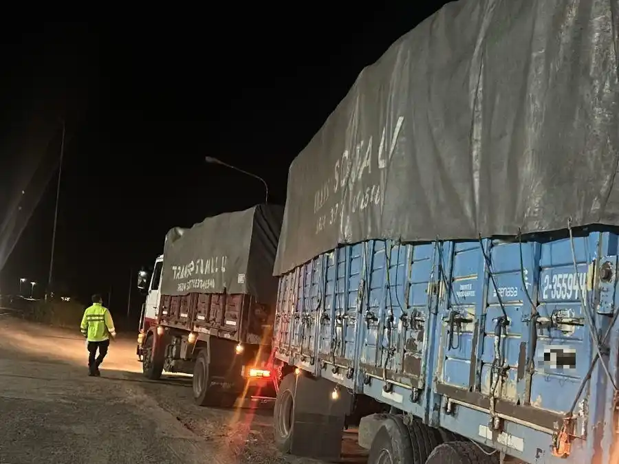 Secuestraron cargamentos de carbón vegetal en rutas santafesinas por infracciones forestales